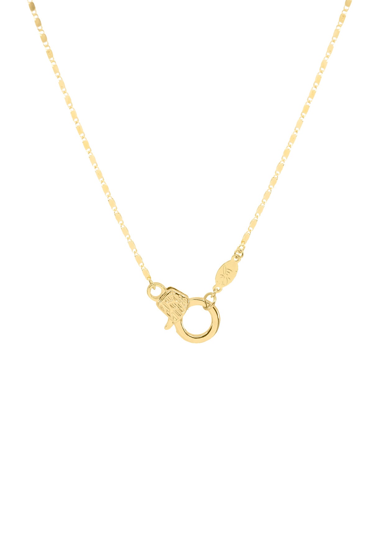 CUTIE LOBSTER - Flat - Charm Necklace