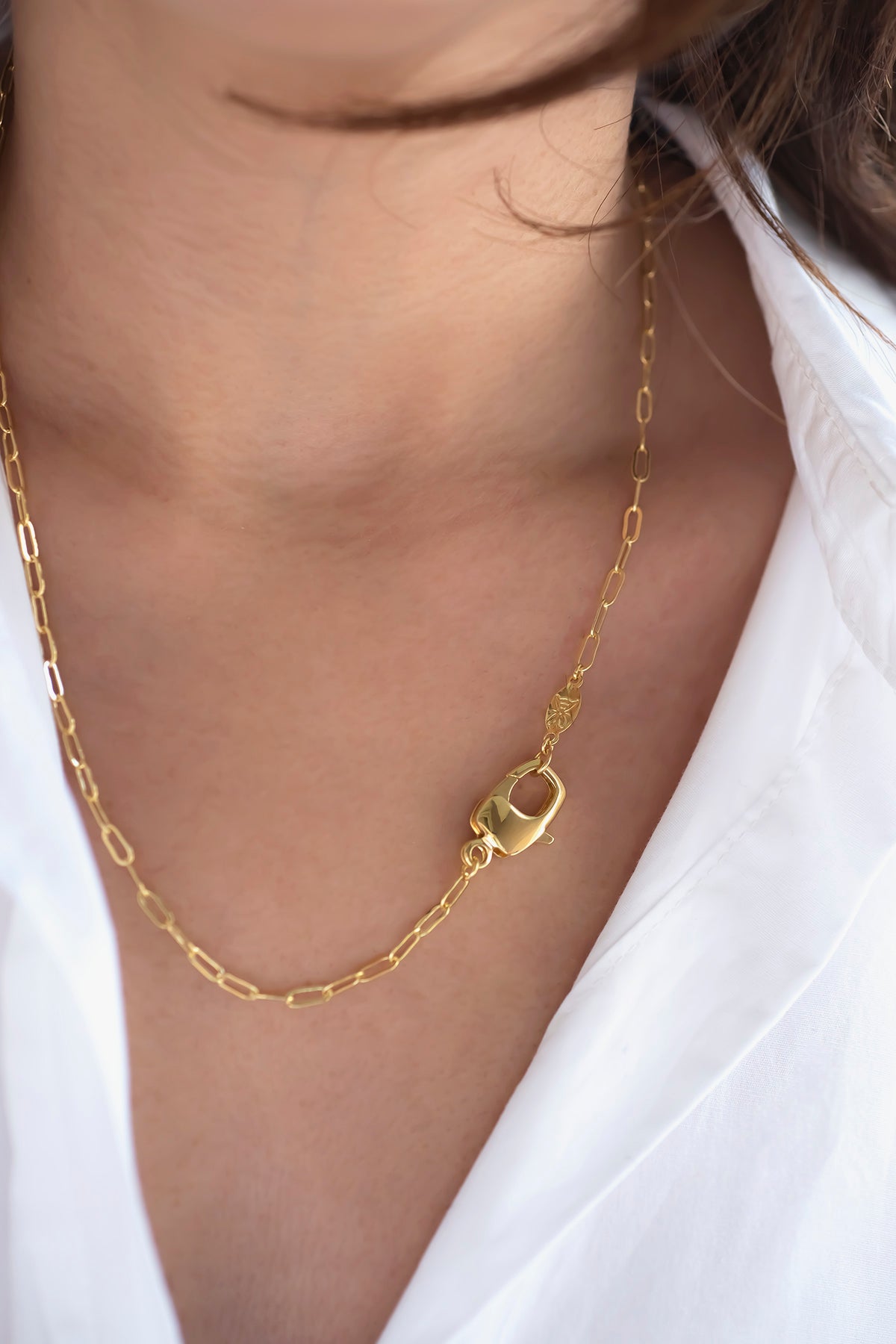 CLAW LOBSTER - Ovale Link - Charm Necklace