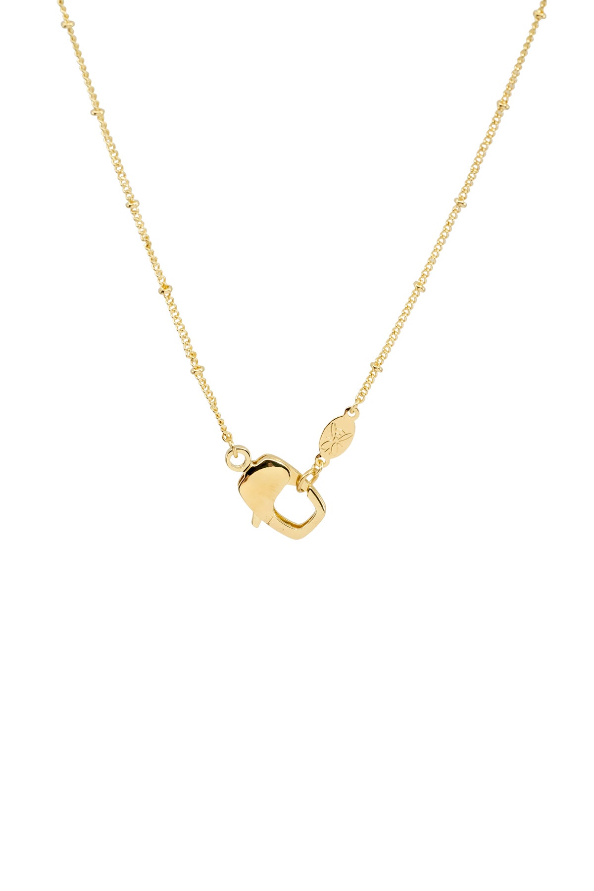 CLAW LOBSTER - Satellite Curb - Chain Necklace