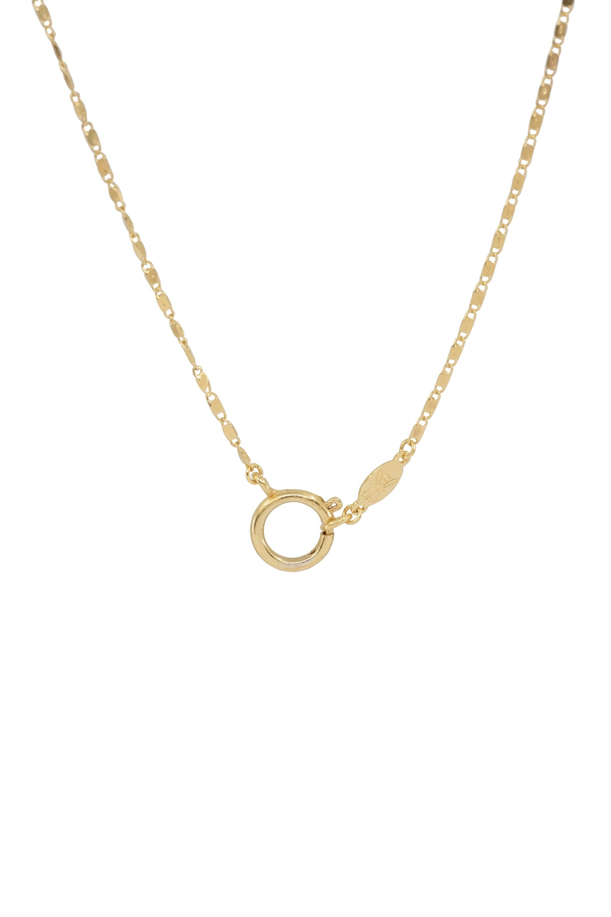 HOOP CLASP - Flat - Charm Chain