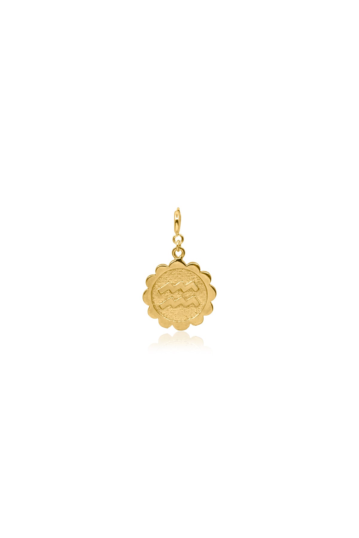 AQUARIUS - Aquarius Zodiac Medallion Charm