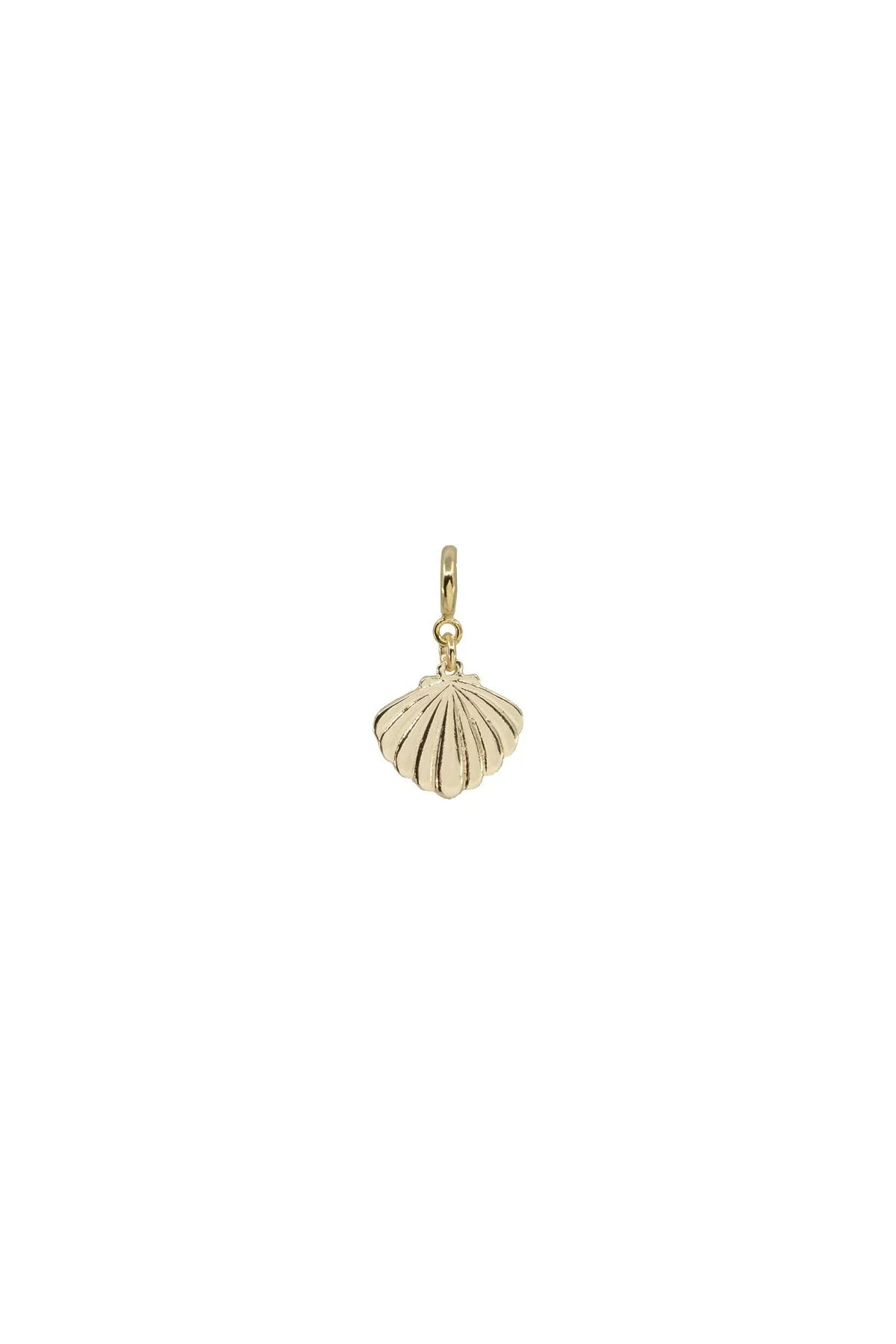 PECTEN - Seashell Charm