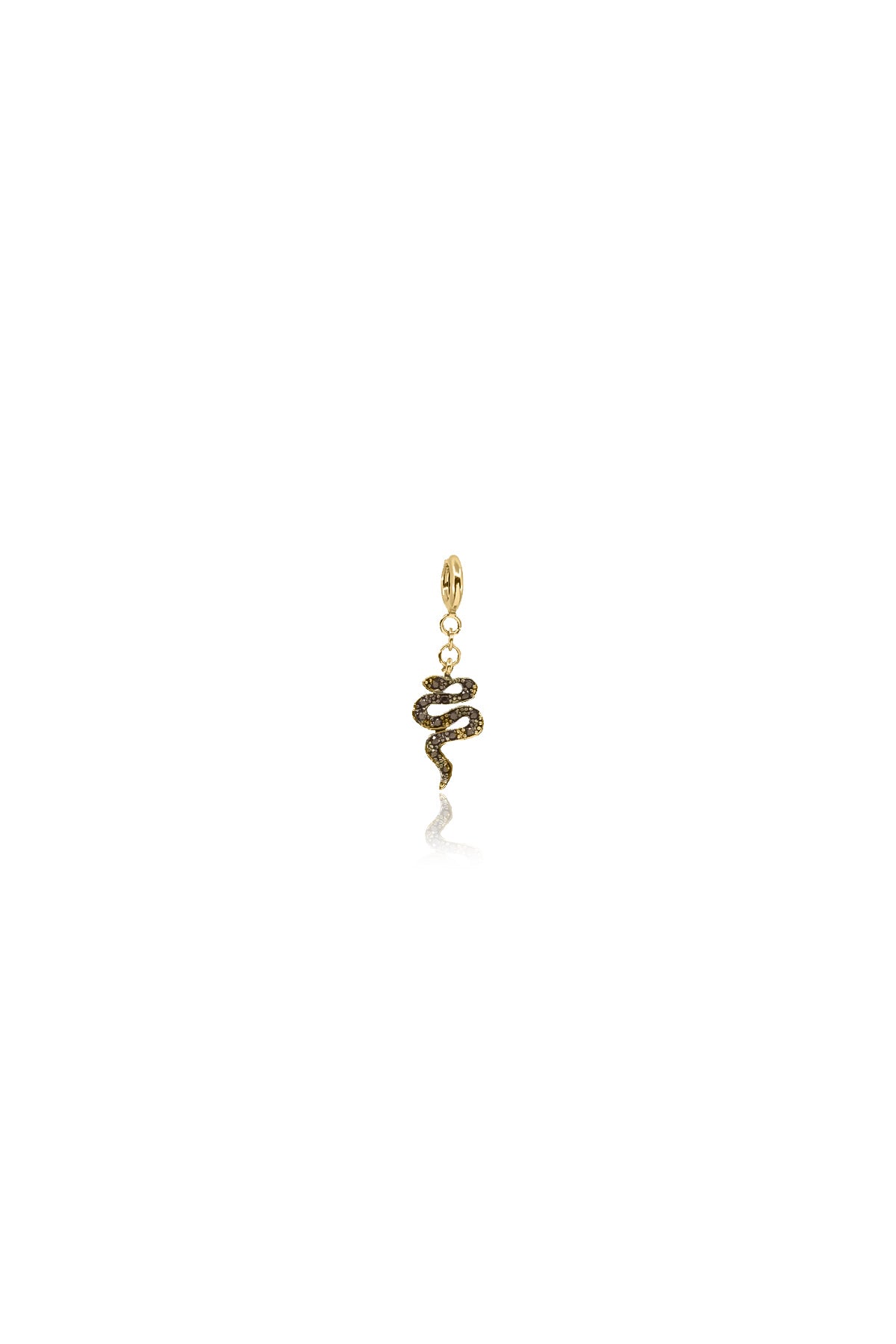 BOIGA - Snake Charm