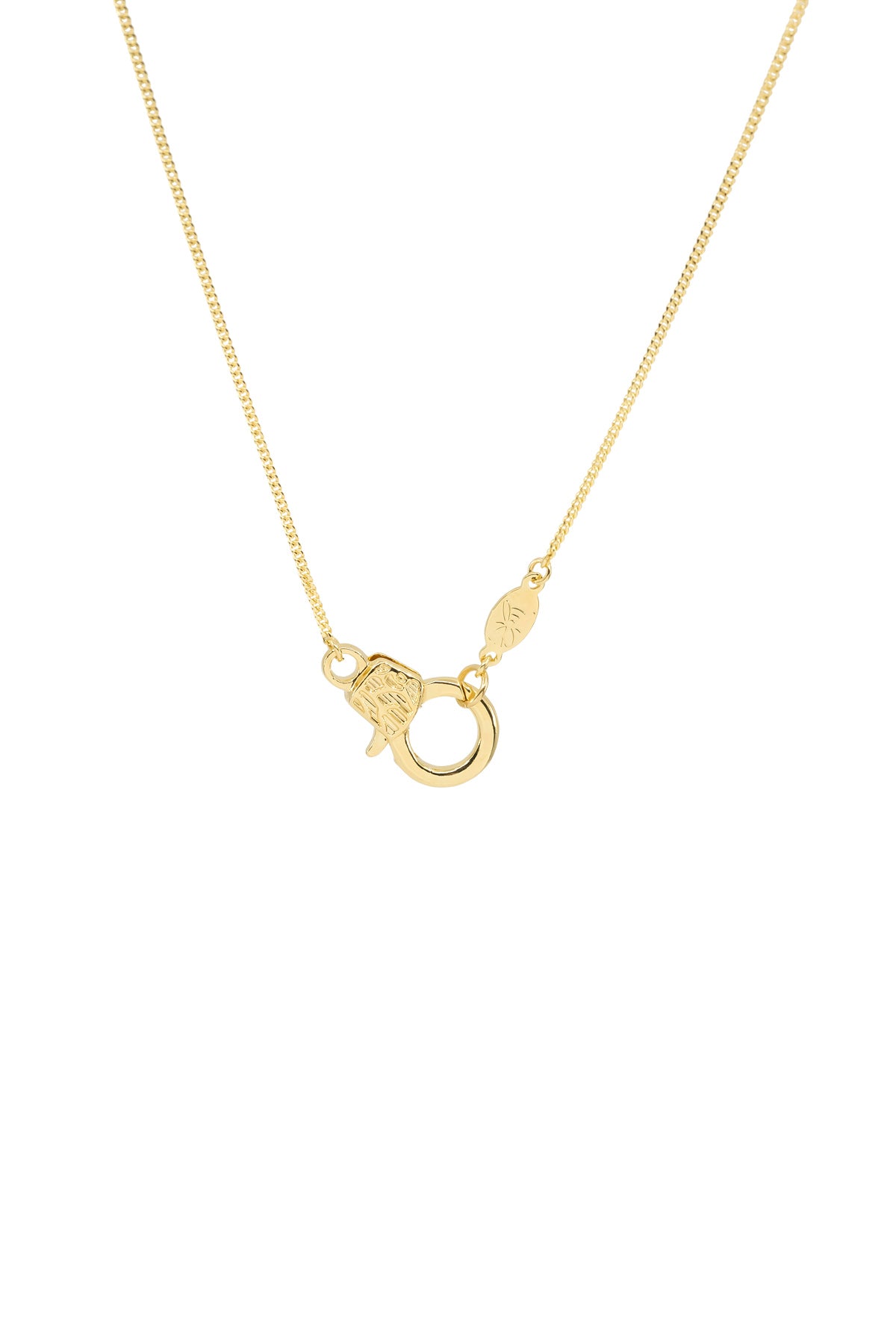 CUTIE LOBSTER - Curb - Charm Necklace