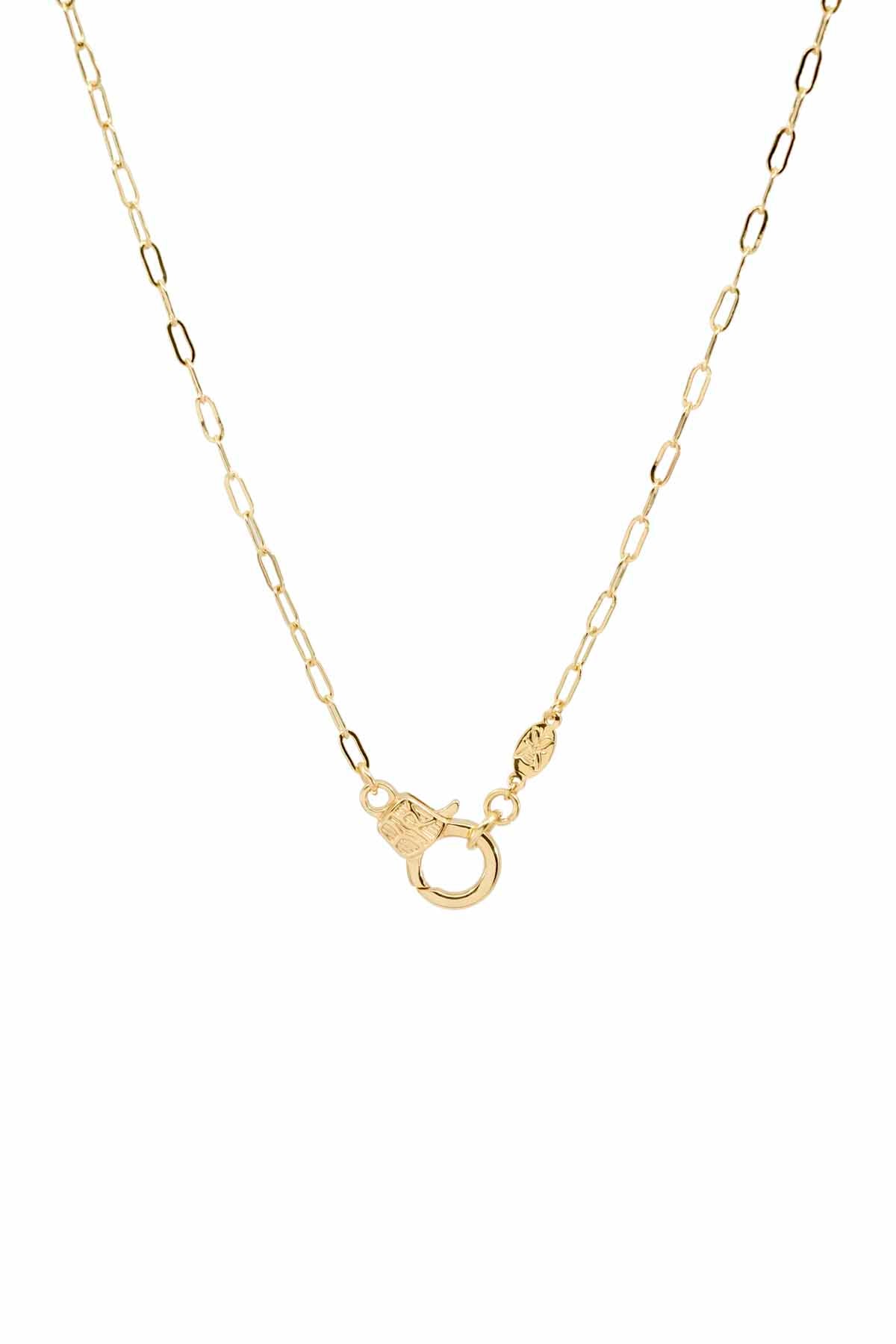 CUTIE LOBSTER - Link - Charm Chain