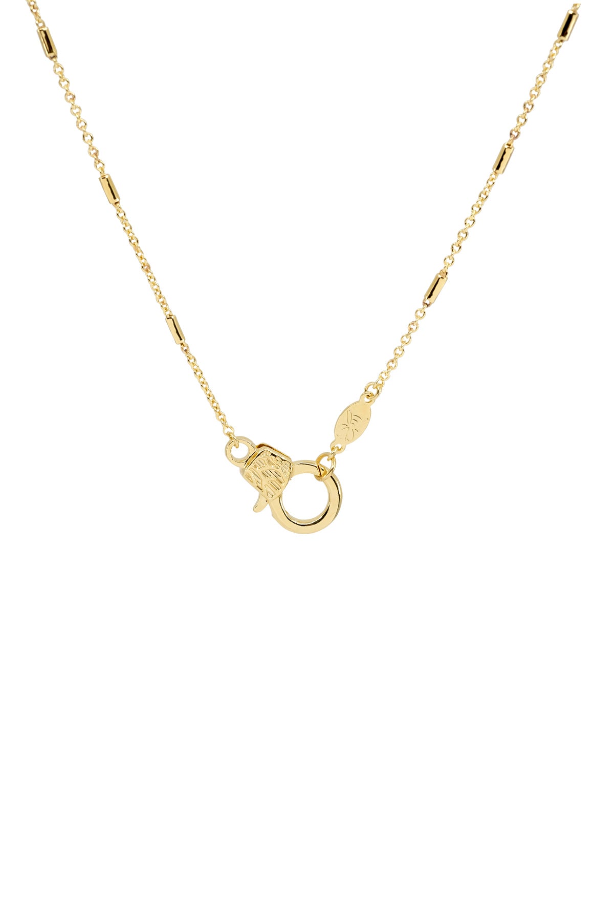 CUTIE LOBSTER - Cable Link - Charm Necklace