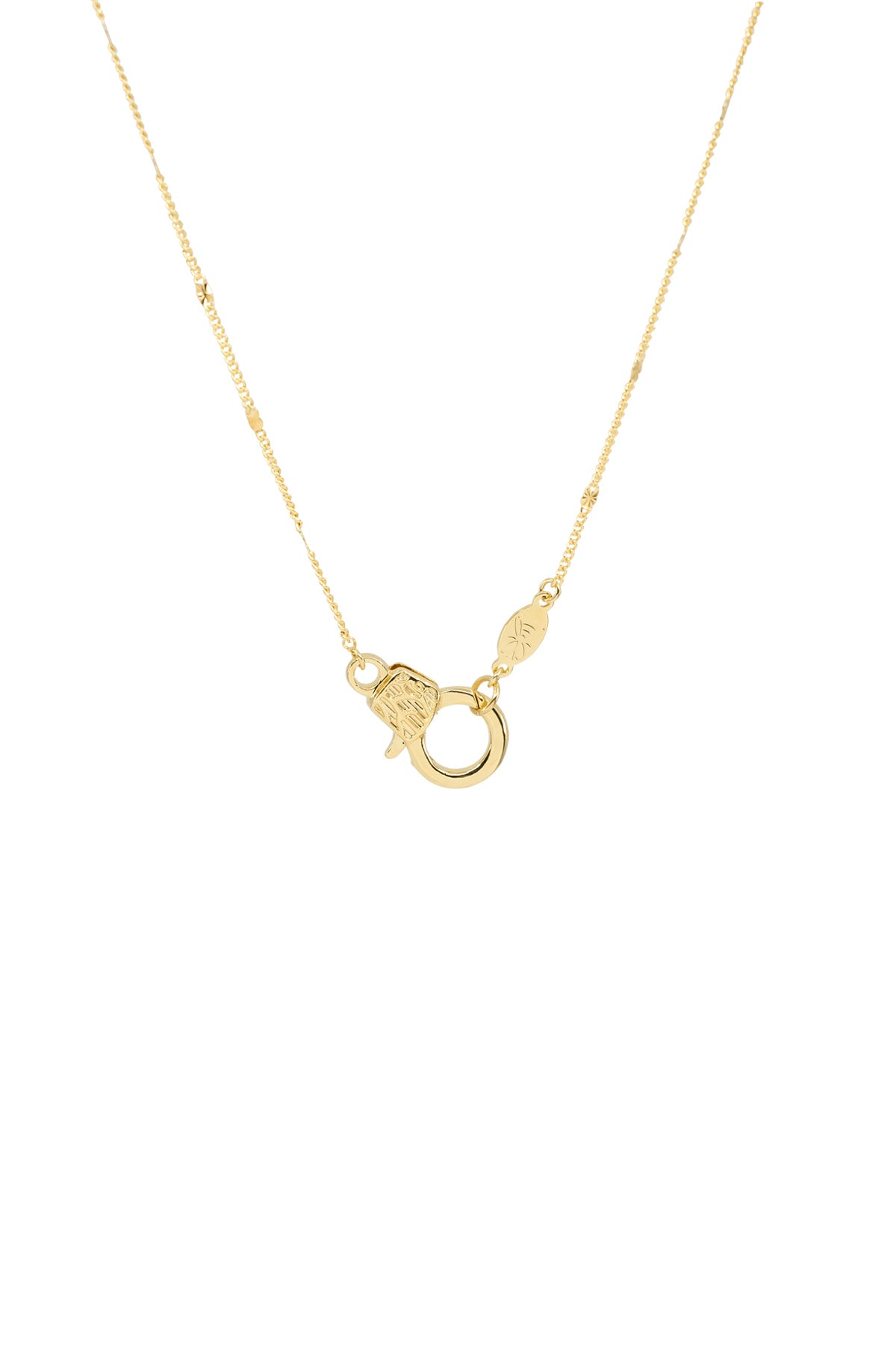 CUTIE LOBSTER - Flat Curb - Charm Necklace