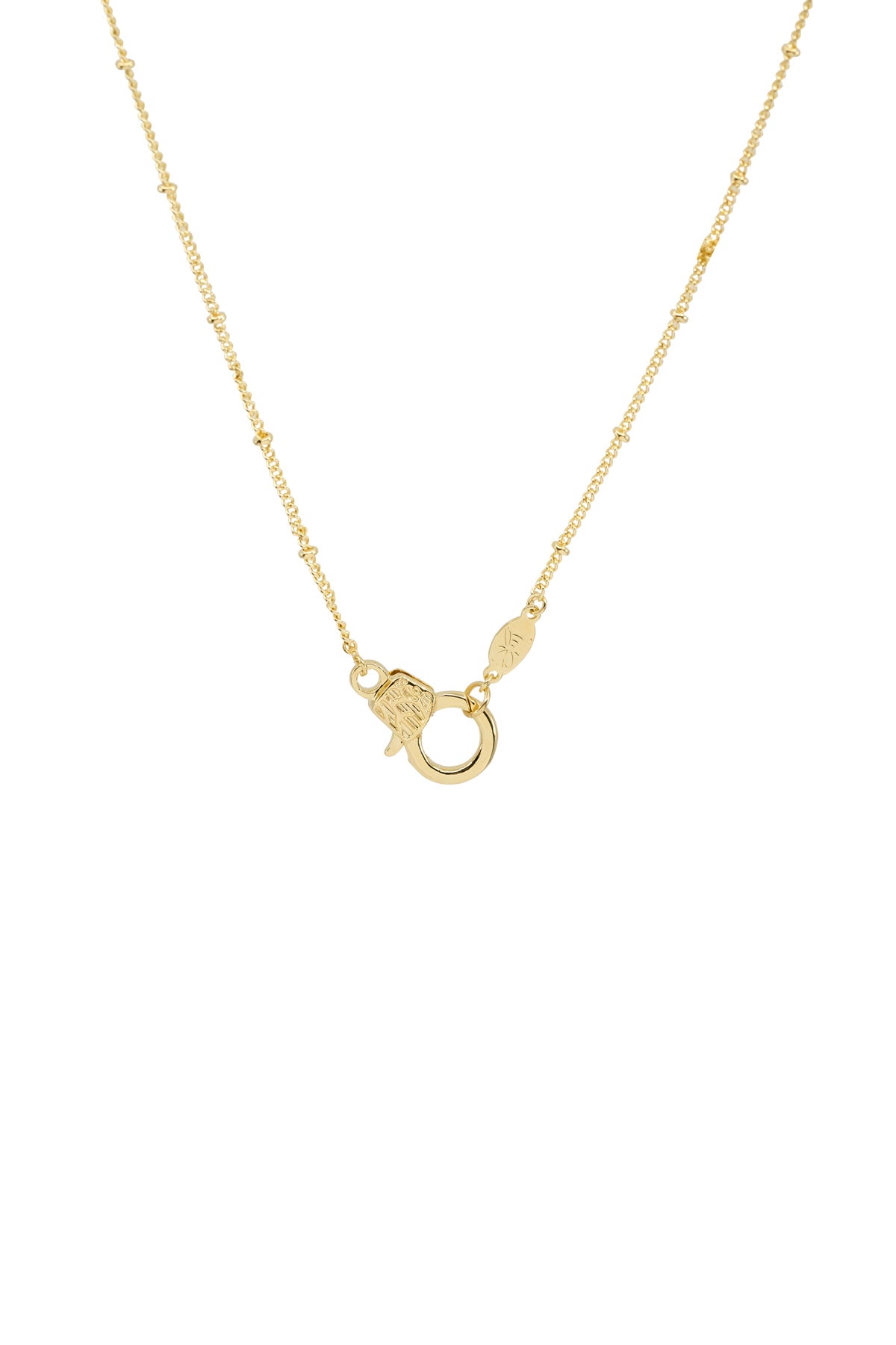CUTIE LOBSTER - Satellite Curb - Charm Necklace