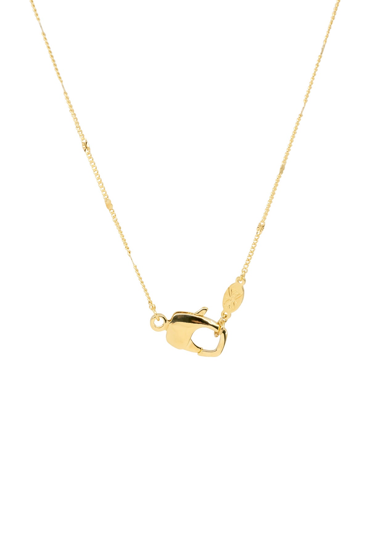 CLAW LOBSTER - Curb Flat - Chain Necklace