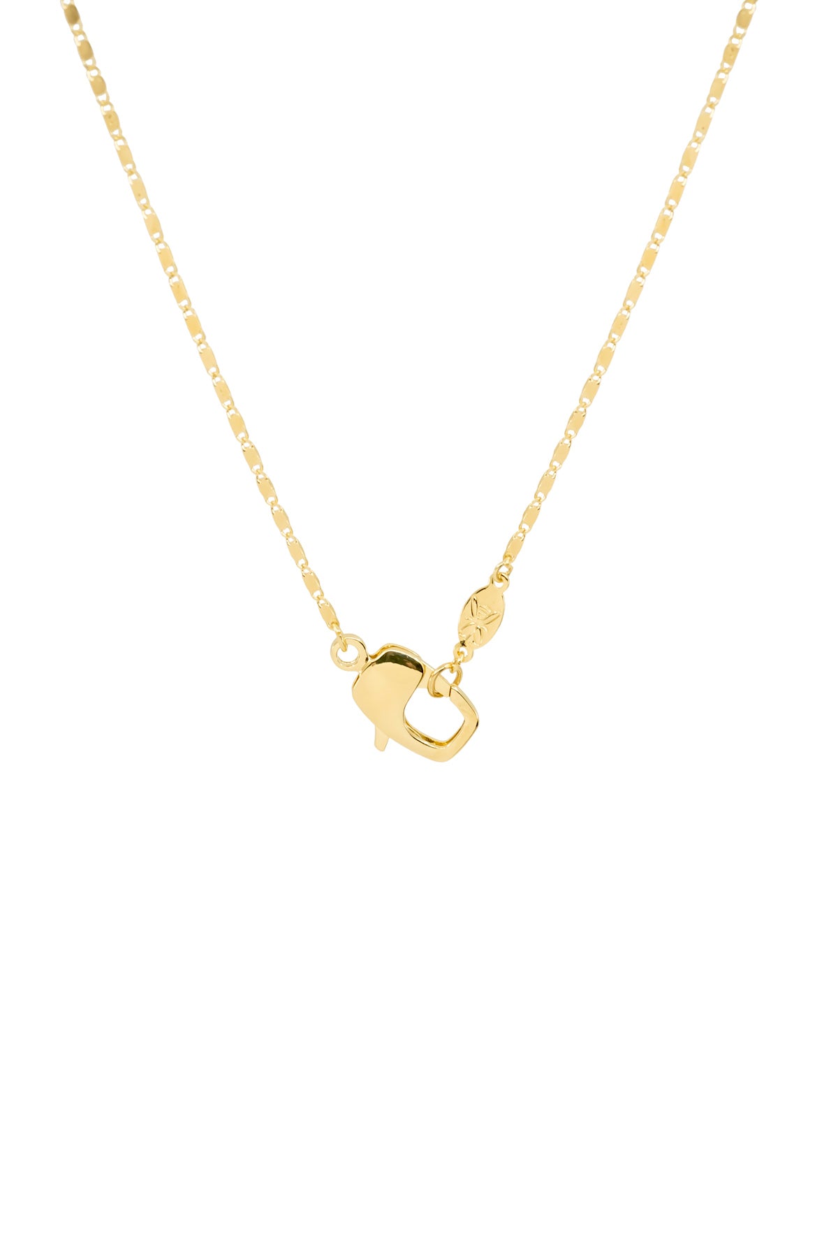 CLAW LOBSTER - Flat - Chain Necklace