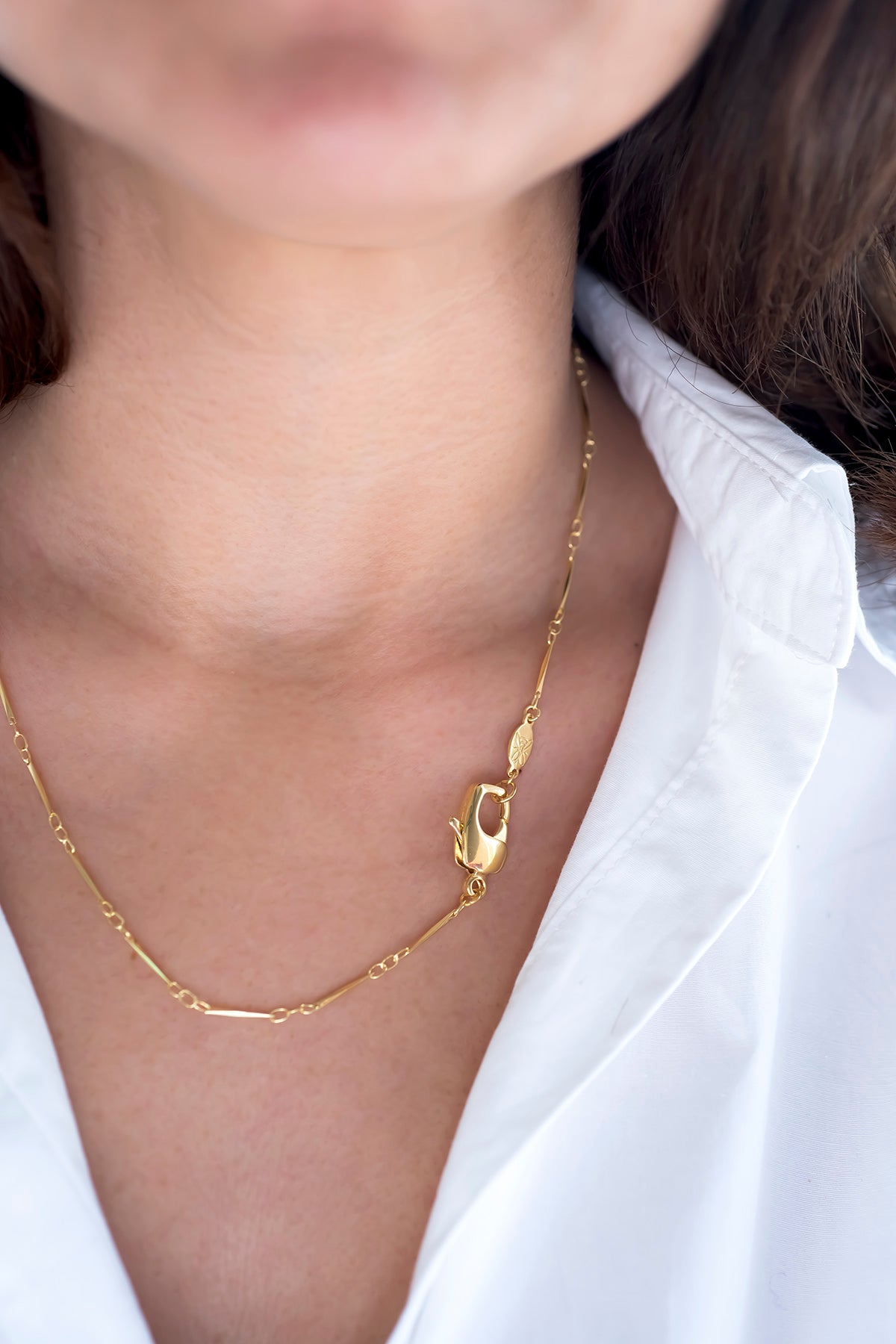 CLAW LOBSTER - Link Bar - Chain Necklace