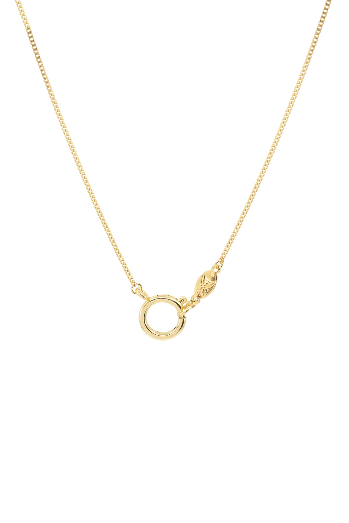 HOOP CLASP - Curb - Charm Chain