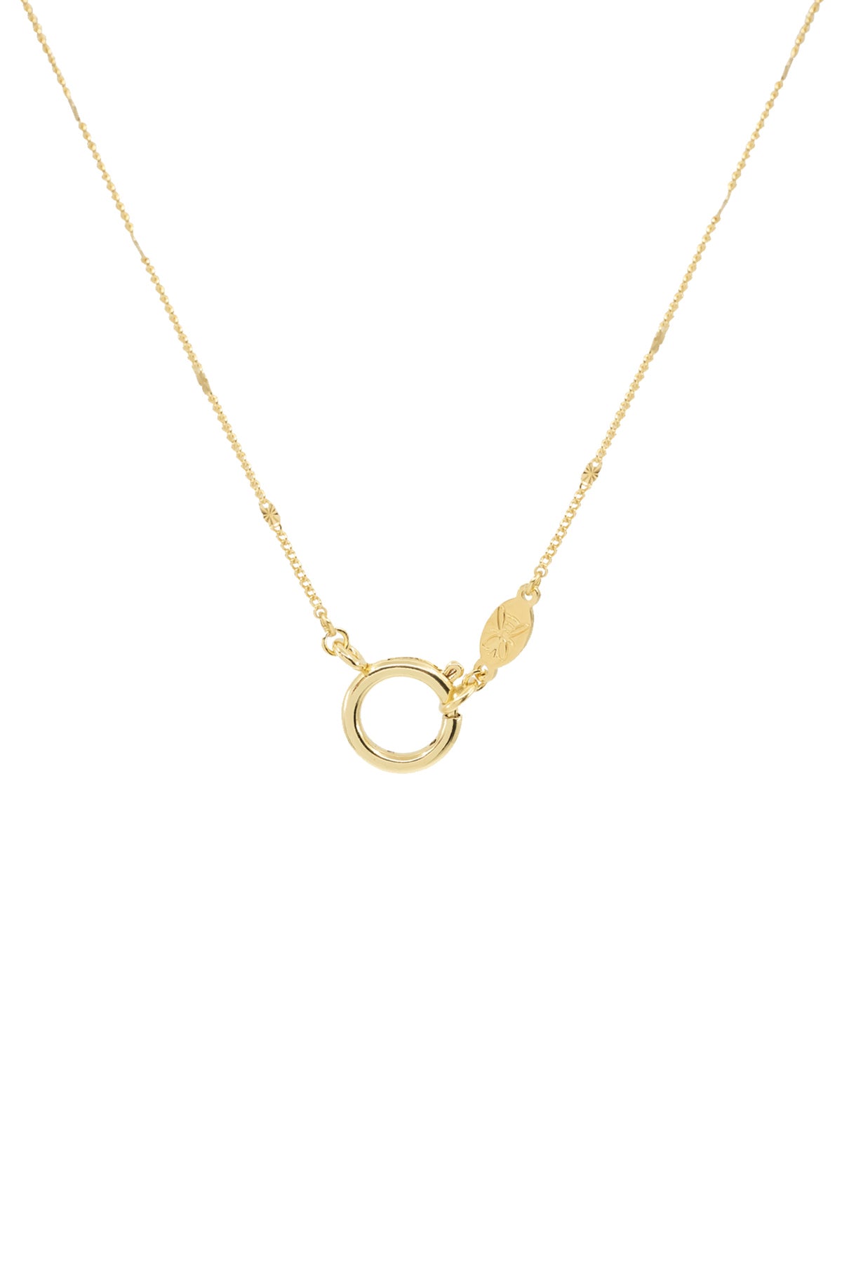 HOOP CLASP - Curb Flat - Chain Necklace