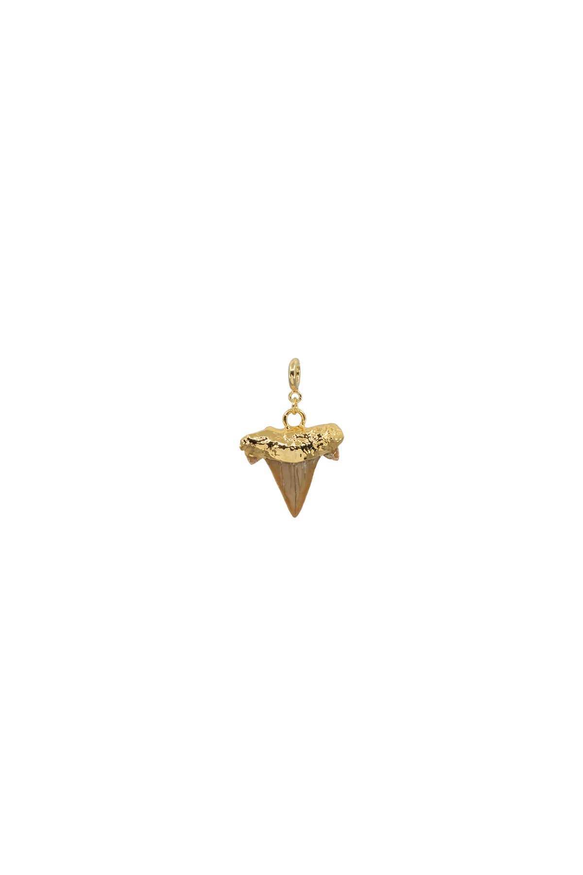SAVAGE – Fossil Shark Tooth Pendant