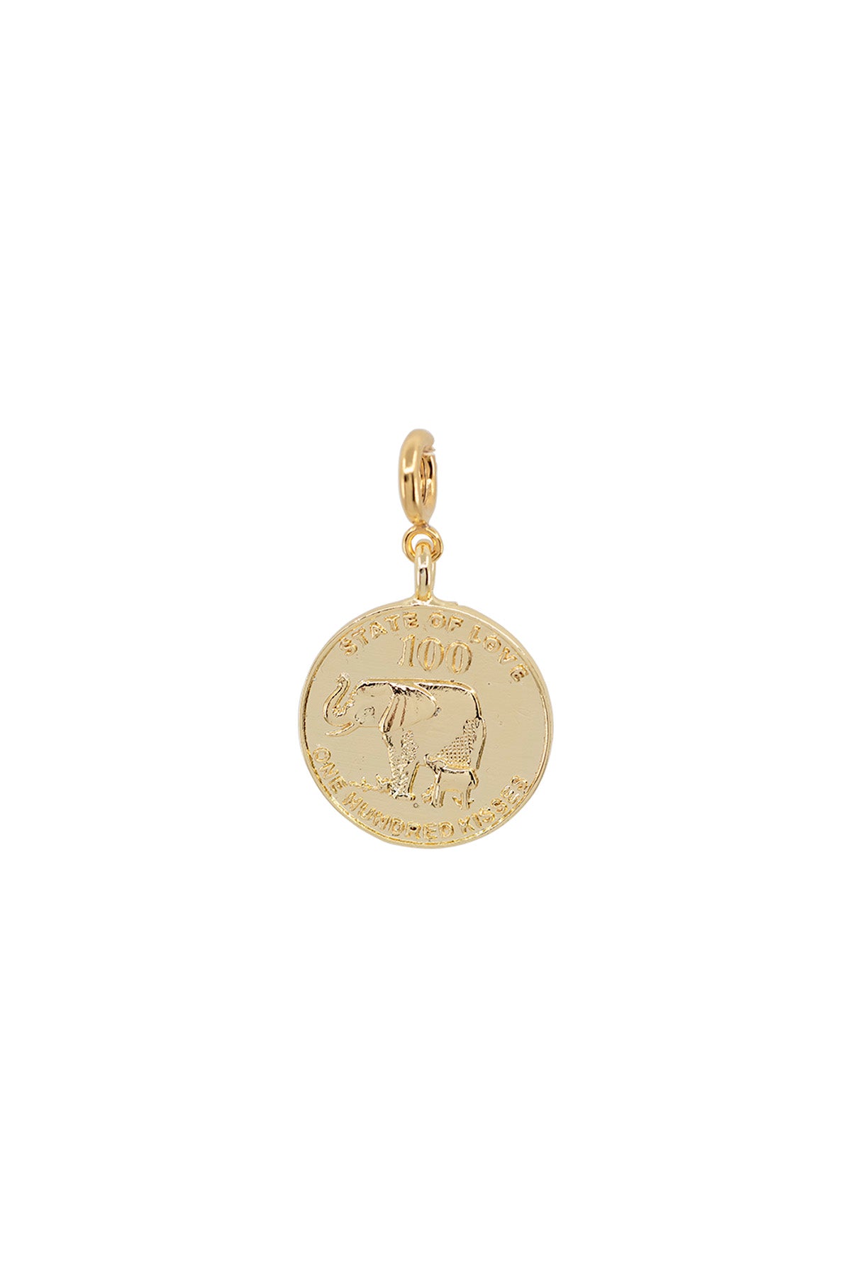 STATE OF LOVE – Medallion of Fortune Charm