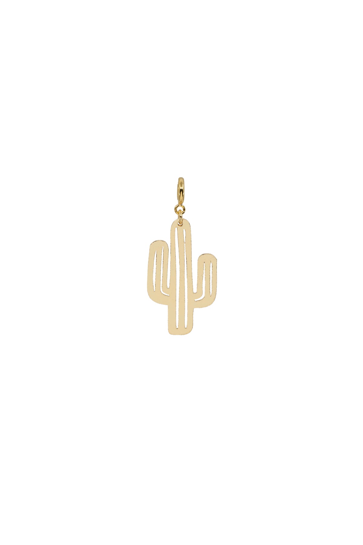 SPIKY – Cactus Charm