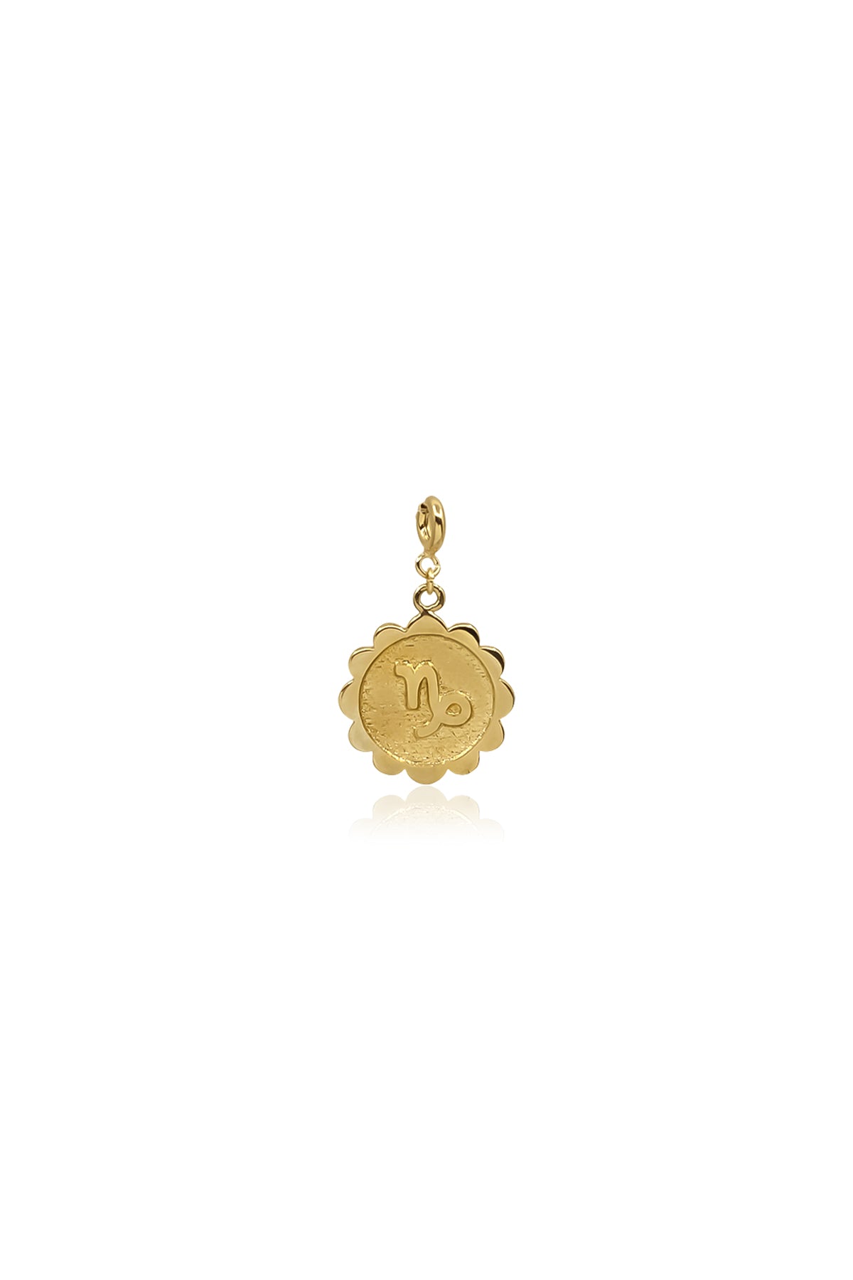 CAPRICORN - Capricorn Zodiac Medallion Charm
