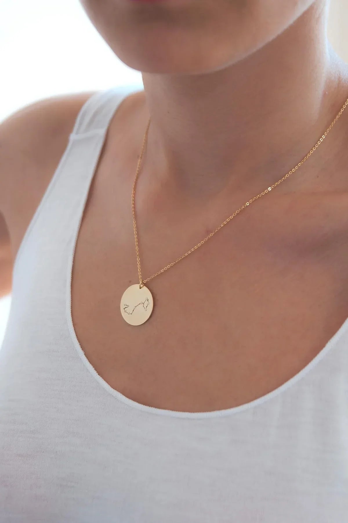 SCORPIO – Scorpio Zodiac Necklace
