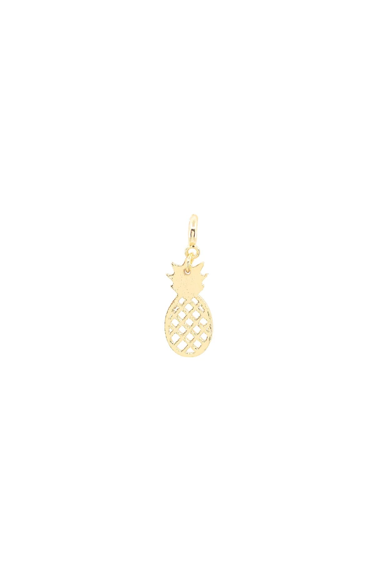 HAWAII – Tropical Pineapple Charm