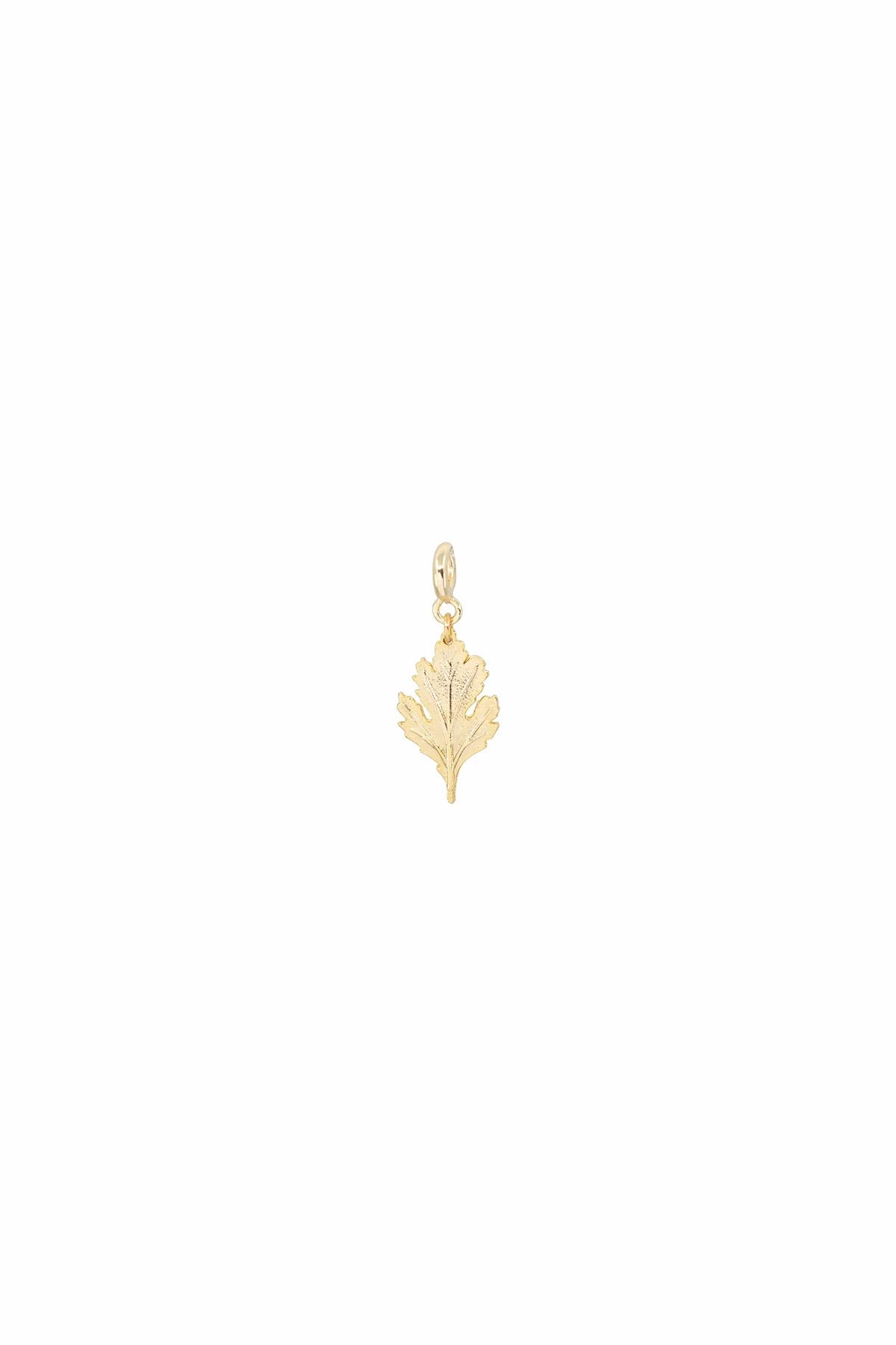 HIBISCUS – Botanical Leaf Charm