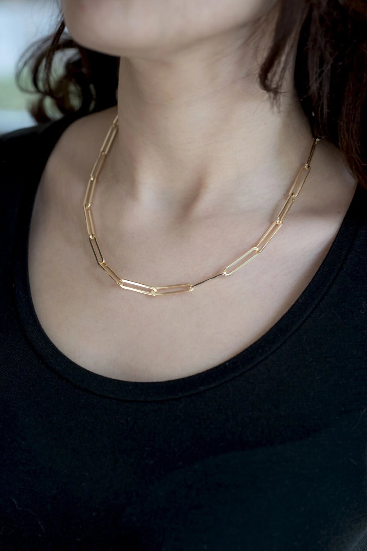 LINKS – Paperclip Chain Necklace